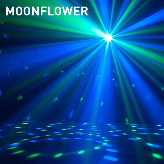Bundle 2x ADJ Stinger Star  3in1 Effekt Moonflower Wash Laser inkl. Tasche